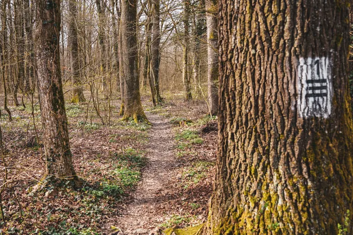 Reducing Waste While Practicing Nature Walk Planning
