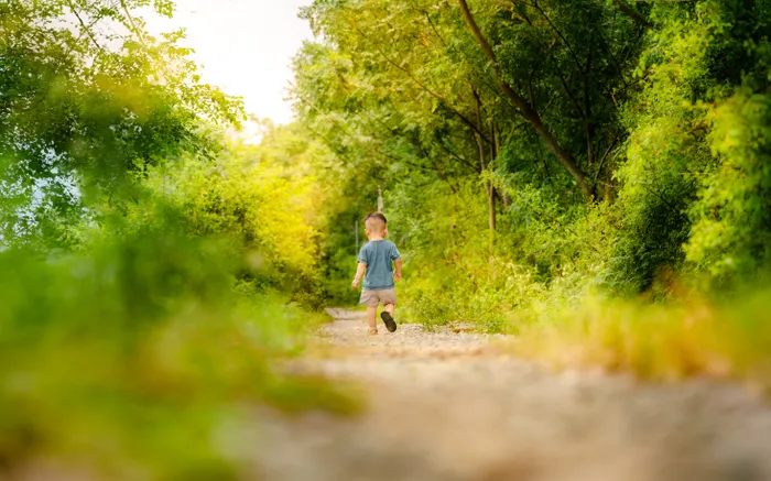 Building a Repeatable Nature Walk Planning Routine